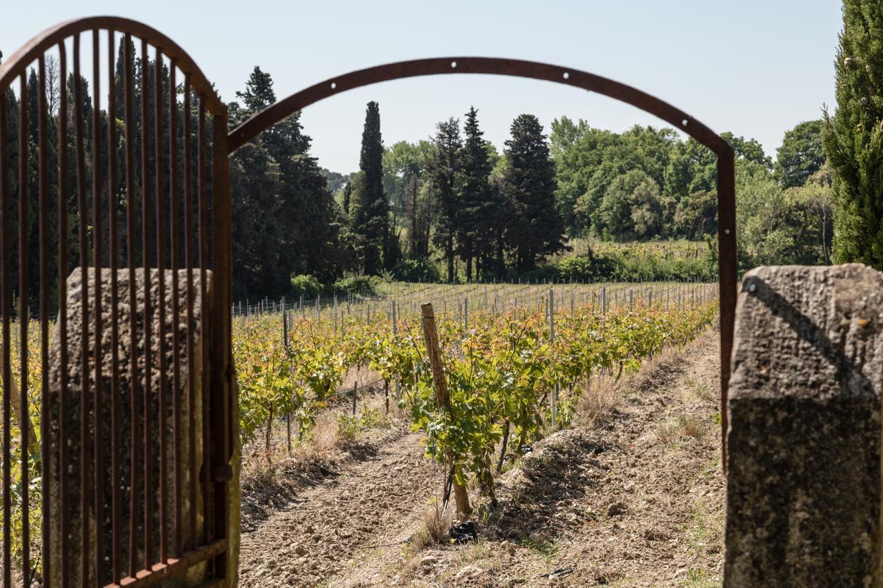 Chateau Des Cinq Cantons Carpentras Exterior photo